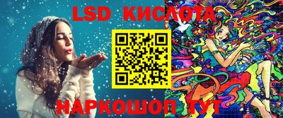 шишки Кандалакша