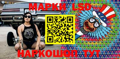 шишки Кандалакша