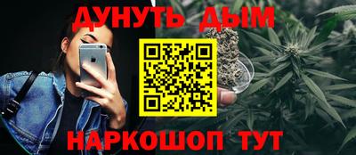 шишки Кандалакша