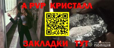 шишки Кандалакша