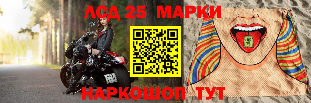 Камышлов  Лсд 25 экстази  Вход с VPN  ЛСД экстази ecstasy 