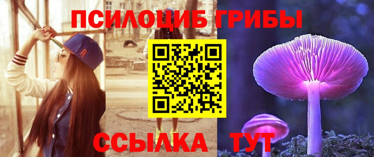 Галлюциногенные грибы GOLDEN TEACHER  Вход с VPN  Камышлов  Галлюциногенные грибы мицелий 